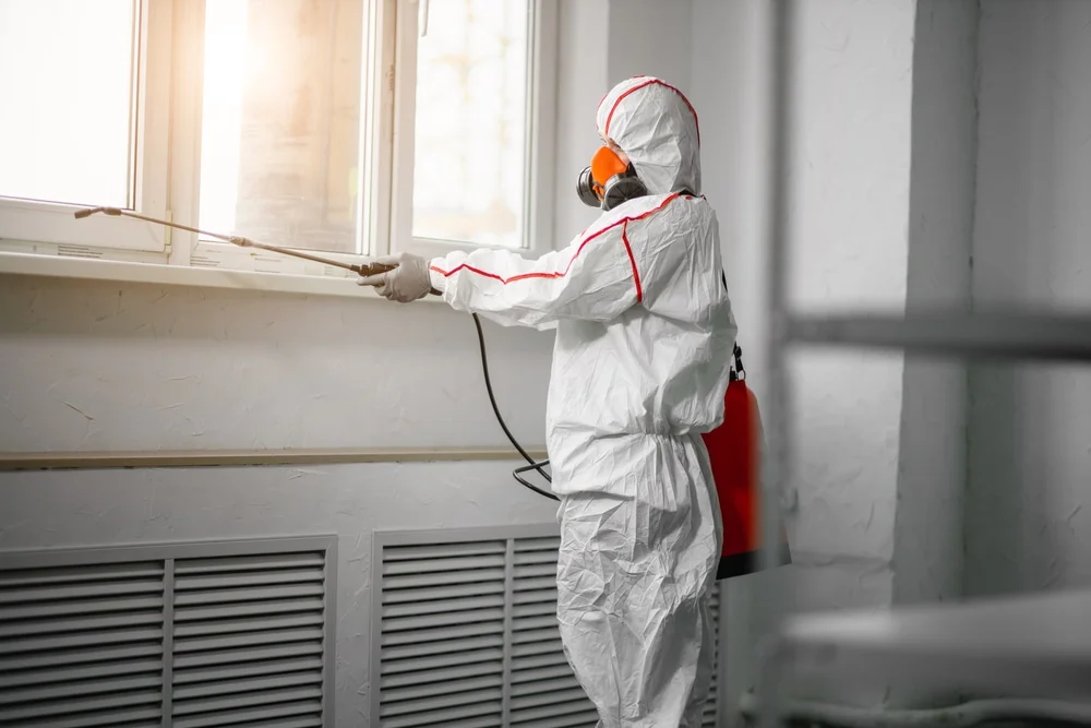 Professional mold remediation services in Nicollet, MN